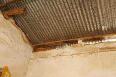 IMG-20201217-WA0004