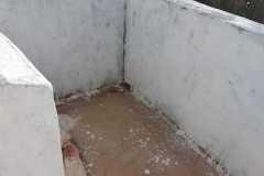 IMG-20201229-WA0033